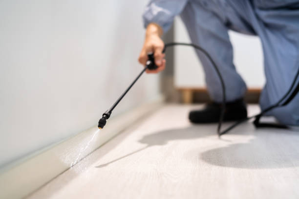 Bed Bug Pre-Treatment Preparation Assessment in Reedsport