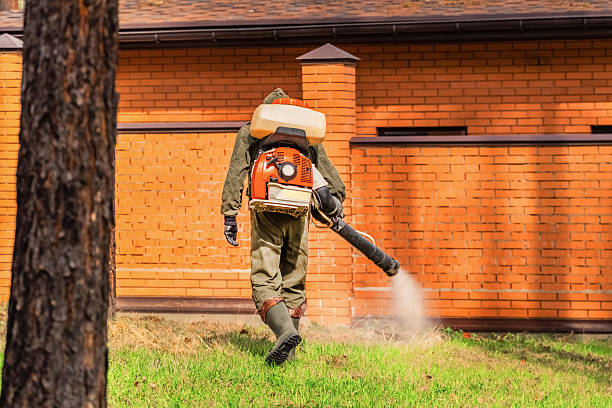 Bed Bug Clearance Verification and Documentation in Reedsport